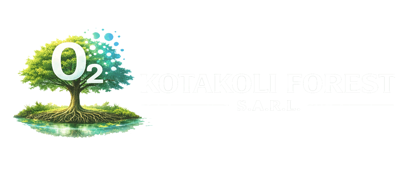Logo KOTAKOLI